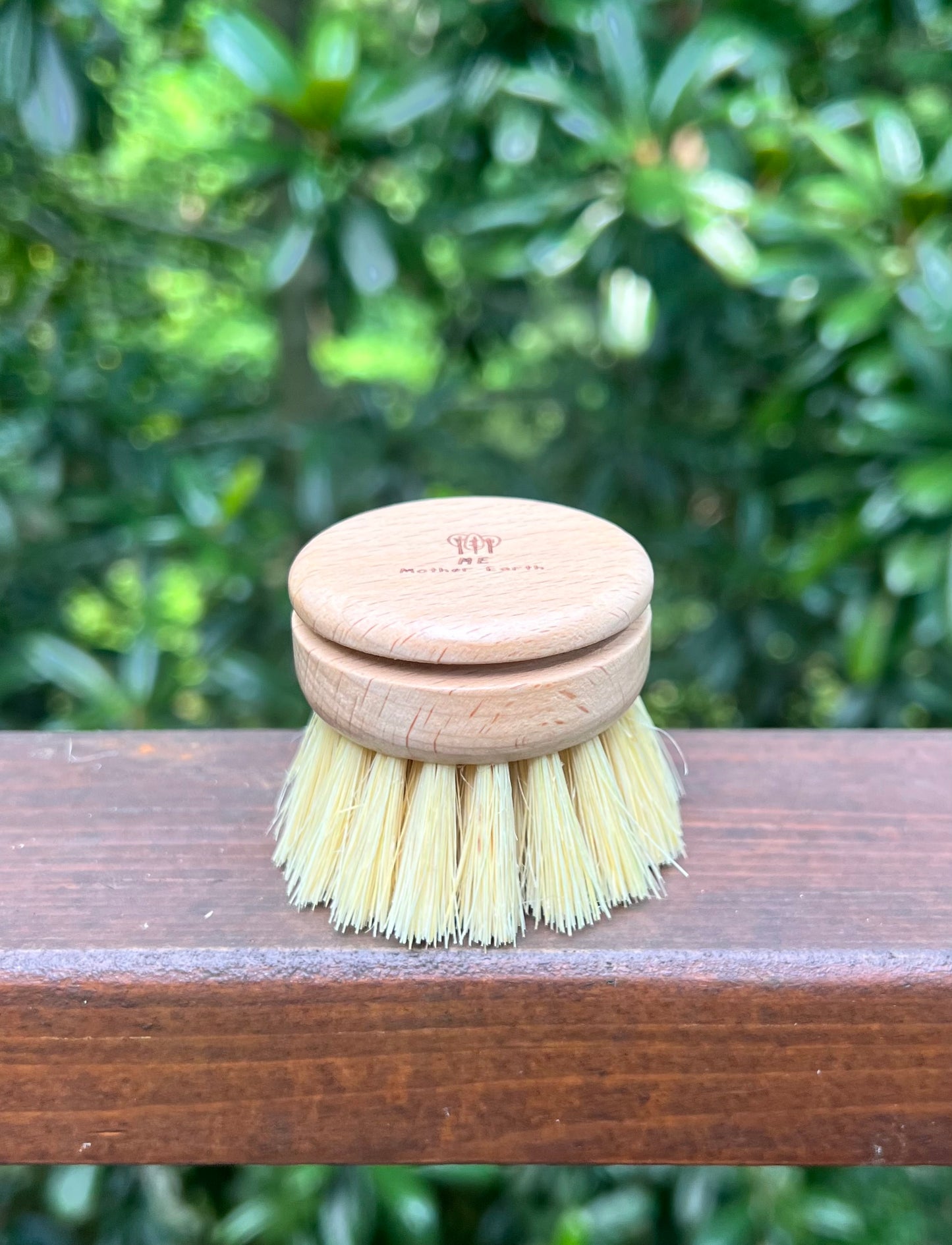 Long Handle Dish Brush - Refill Head Only