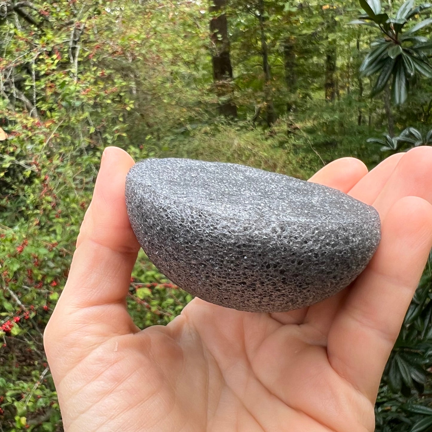 Konjac Facial Cleansing Sponge - Charcoal