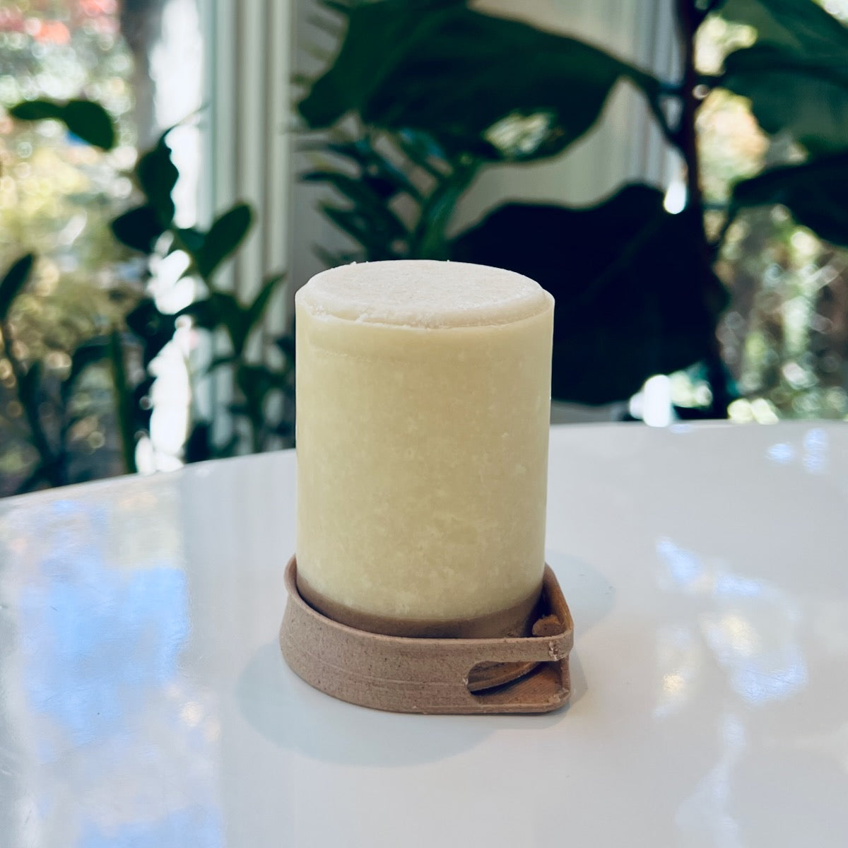 Sweel Labs Stem shampoo bar in unscented clear coated in beeswax to prevent dissolving in shower and sitting in its recyclable cap