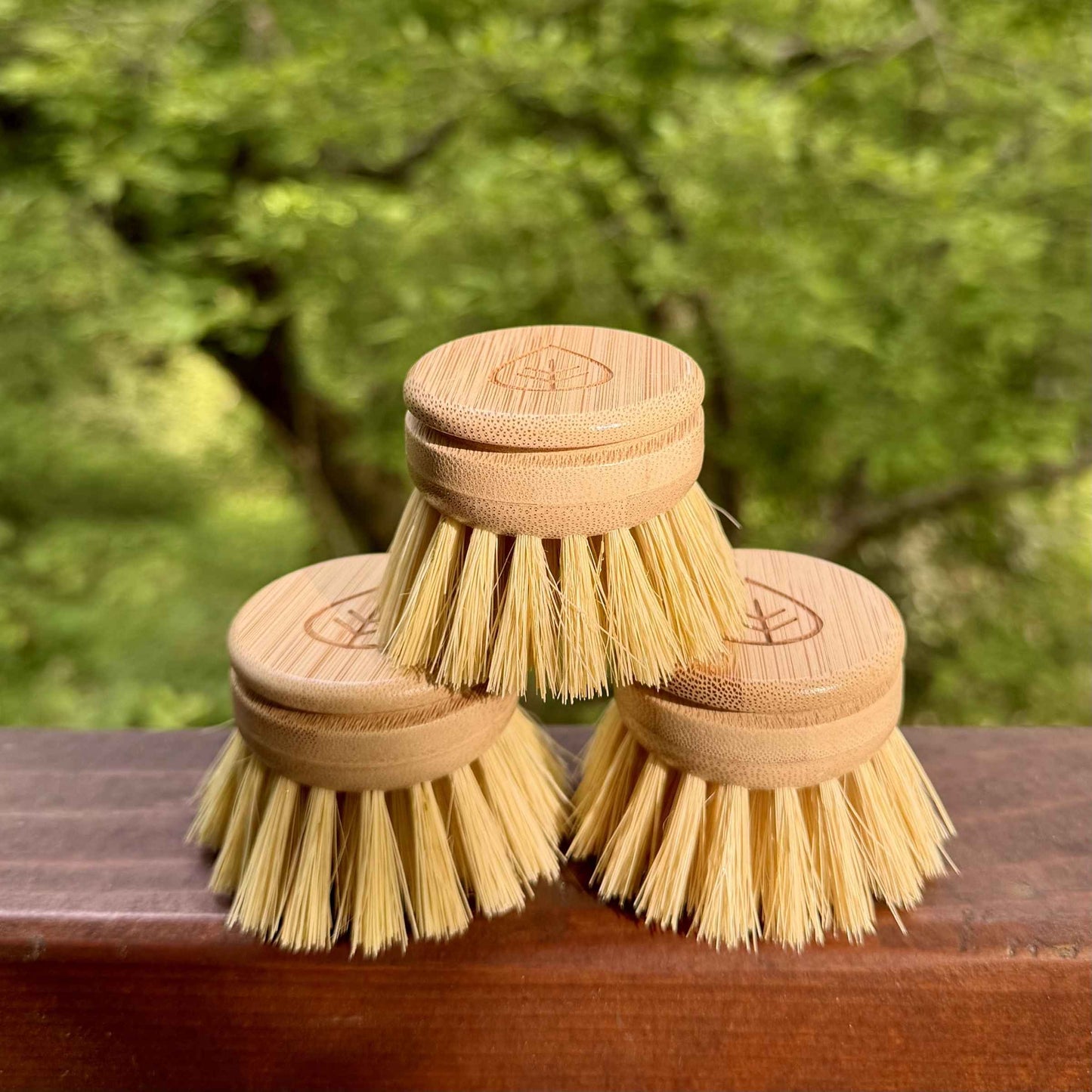 Refill Heads - Long Handle Dish Brush