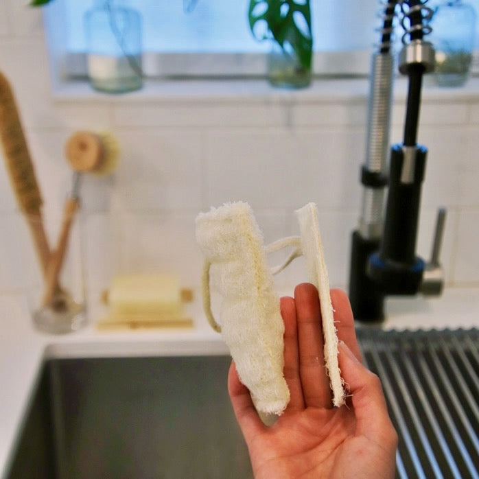 Loofah Dish Sponges (3 Pack)