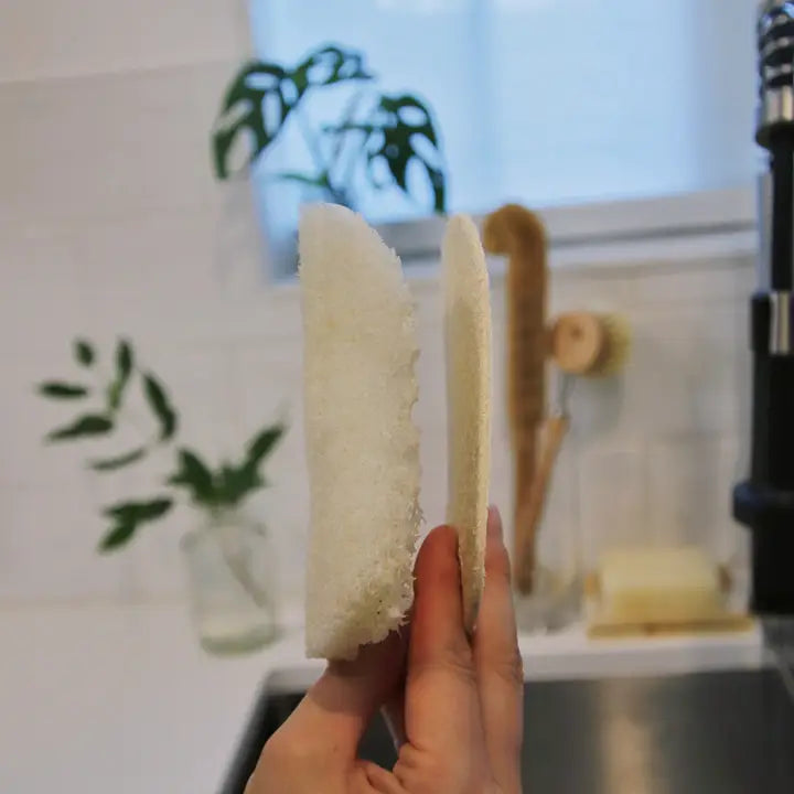 Loofah Dish Sponge