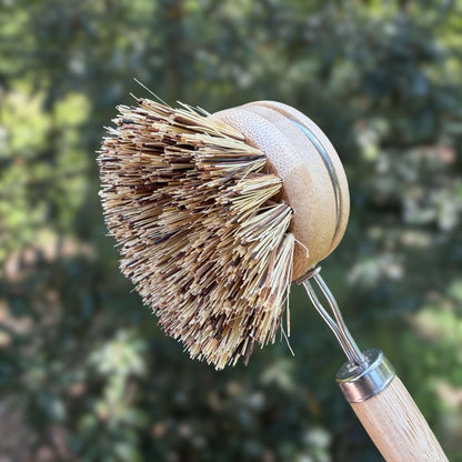 Close-up of sisal and palm bristles on firm dish brush for pots