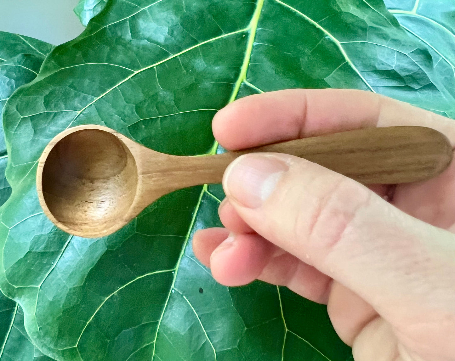 Mini Teak Seasoning Spoons (Set of 3)