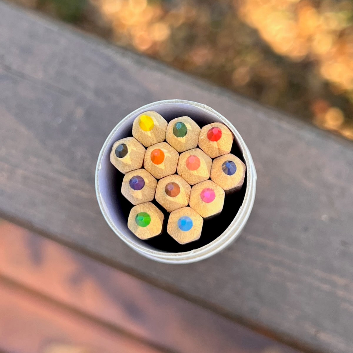 Colored Pencils - Travel Size (12 Colors)