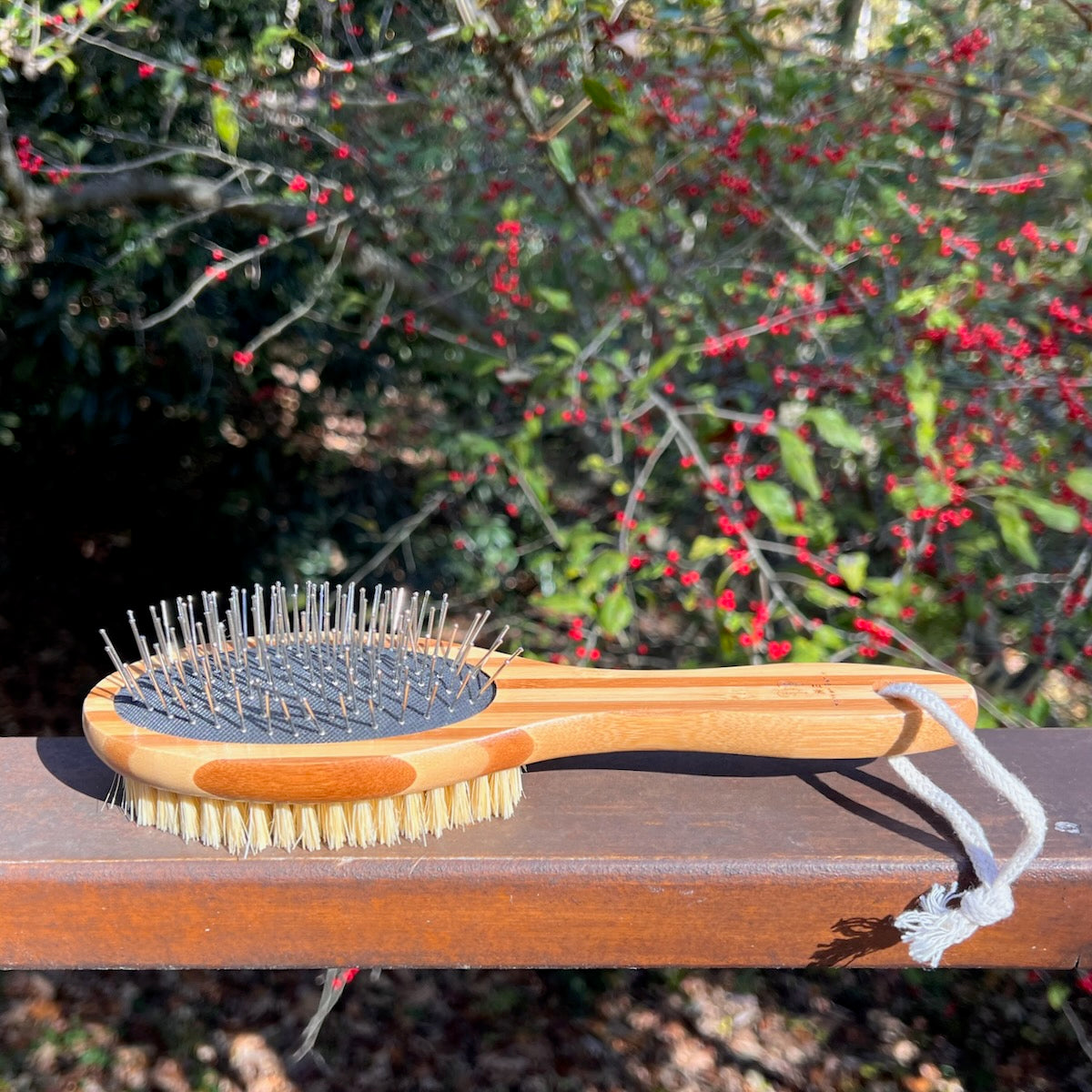 Eco-Friendly Bamboo Pet Brush