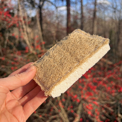 Compostable Scrubby Sponge