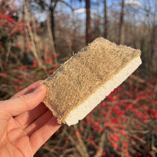 Compostable Scrubby Sponge