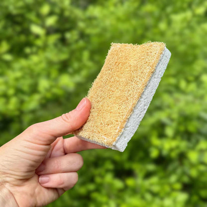 Hand holding a loofah kitchen scrubby sponge with soft cellulose bottom and scrubby loofah top 