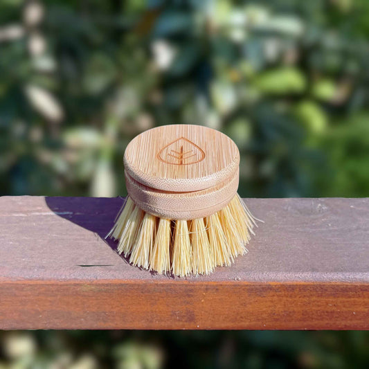 Refill Heads - Long Handle Dish Brush
