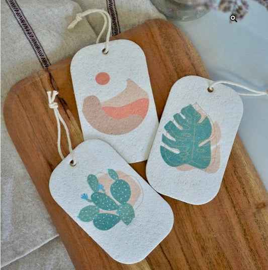 Pop-Up Dish Sponges - 3 Pack