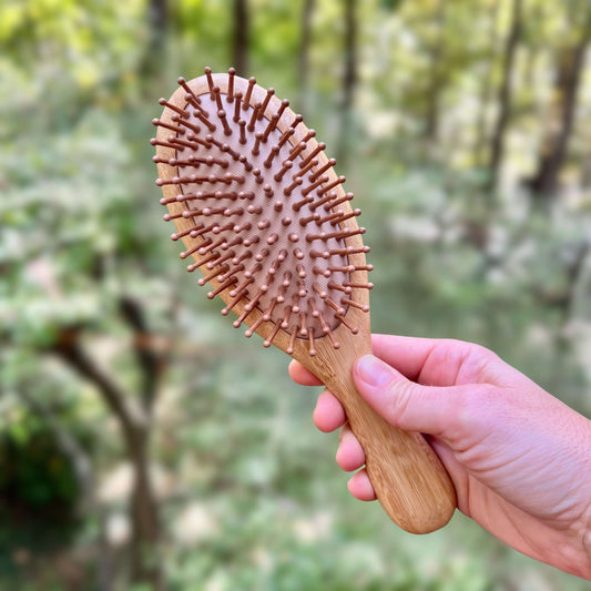 Hand holding an oval bamboo hairbrush, showing the rounded bamboo bristles and cushioned pad