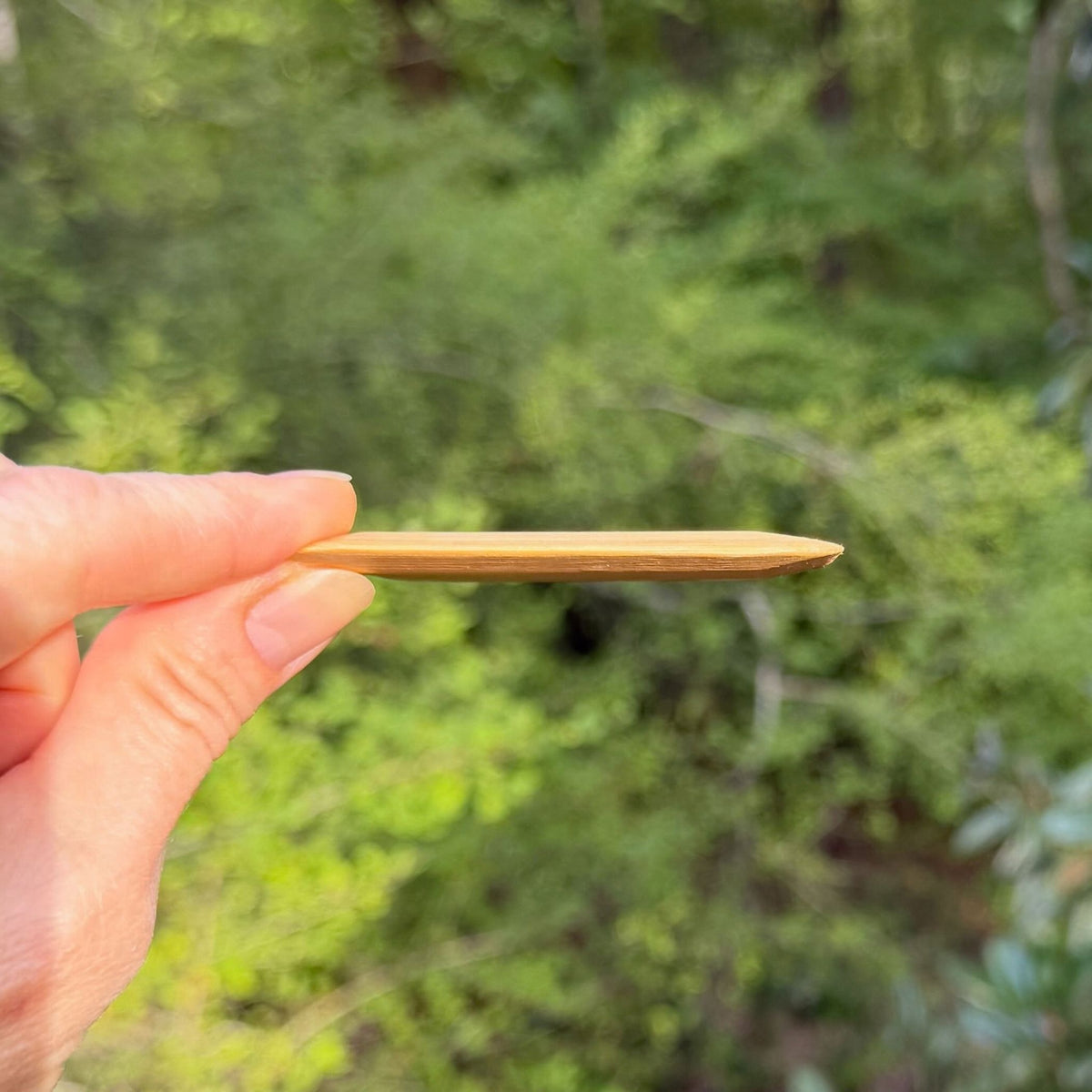 Side view of a thin bamboo pot scraper showing its tapered, angled scraping edge