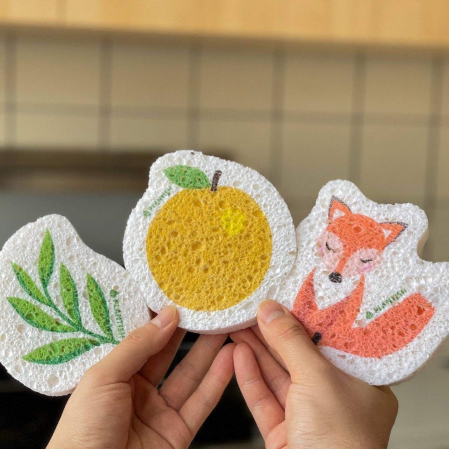 Cellulose Pop-Up Sponges (3 Pack, Shapes)