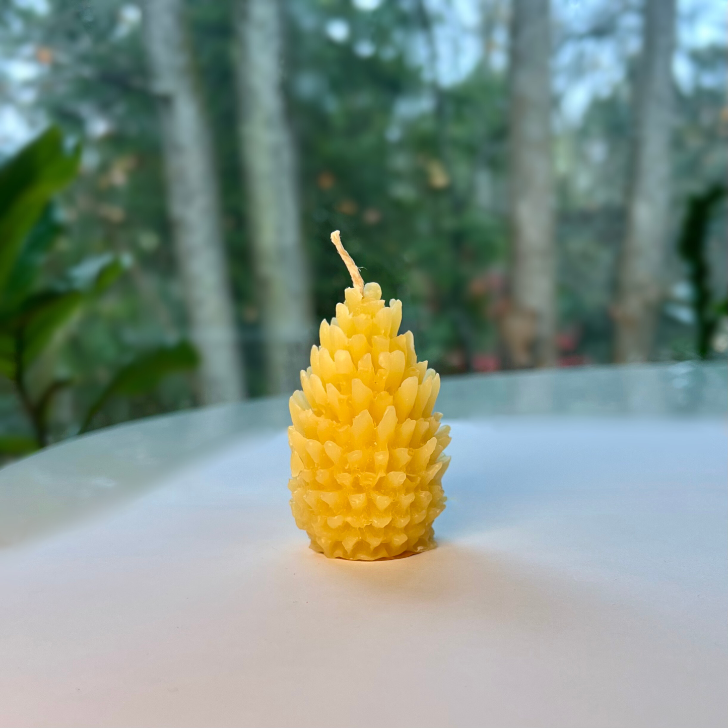 Beeswax Candles