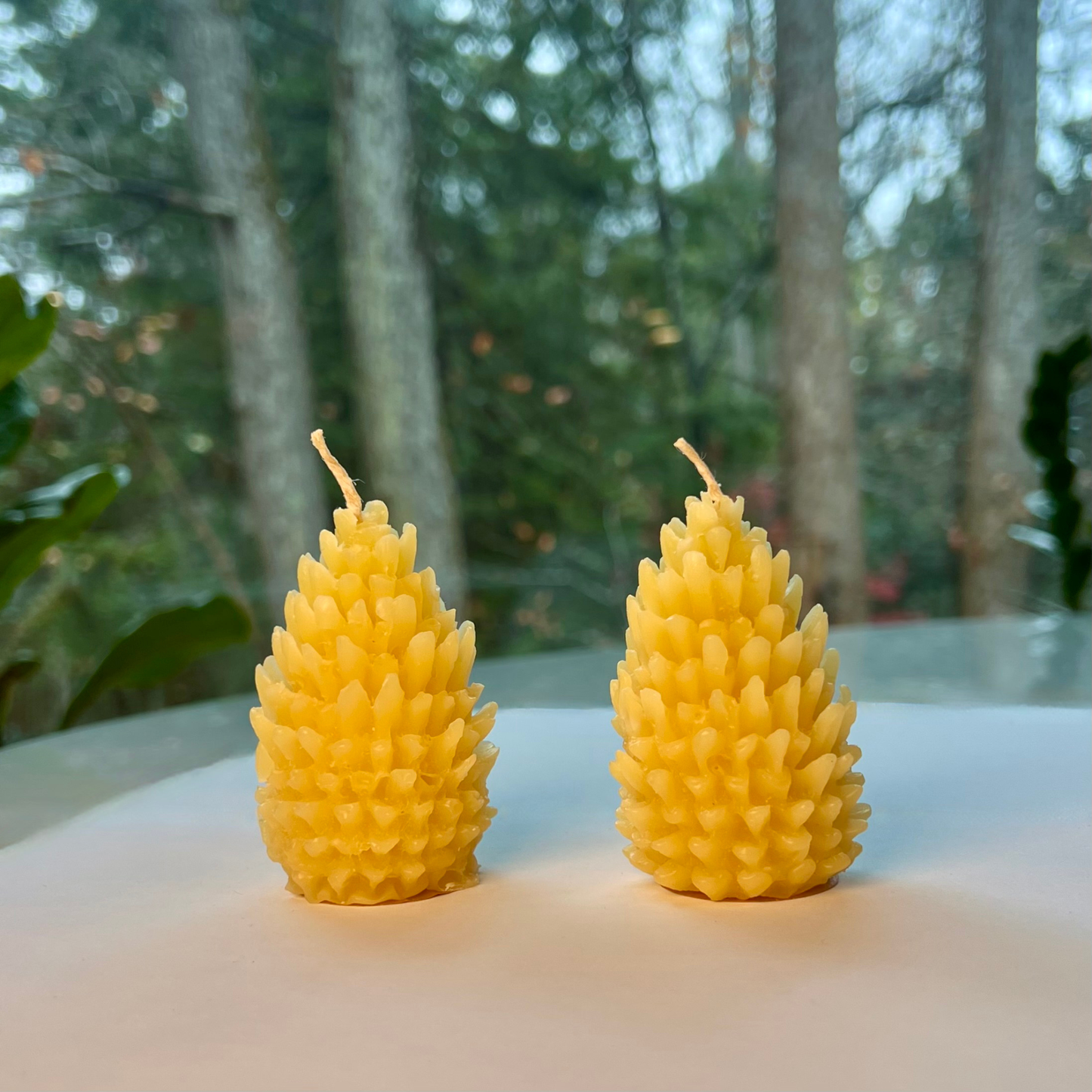 Beeswax Candles