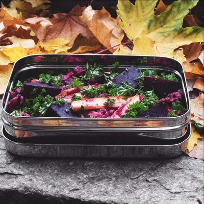ECOlunchbox Solo Rectangle Stainless Steel Lunch Box