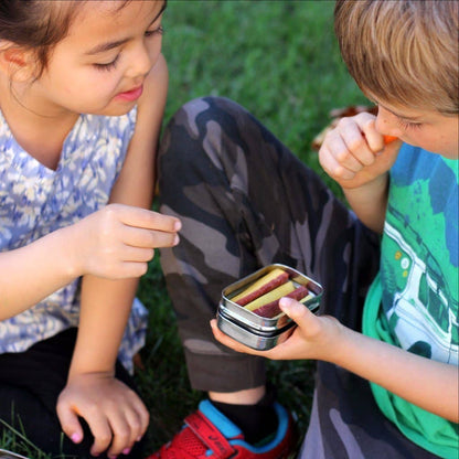 Two kids sitting outside sharing snacks from a small ECOlunchbox stainless steel container.