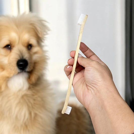Double-Sided Bamboo Dog Toothbrush